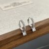 Dangling Earrings with Charm