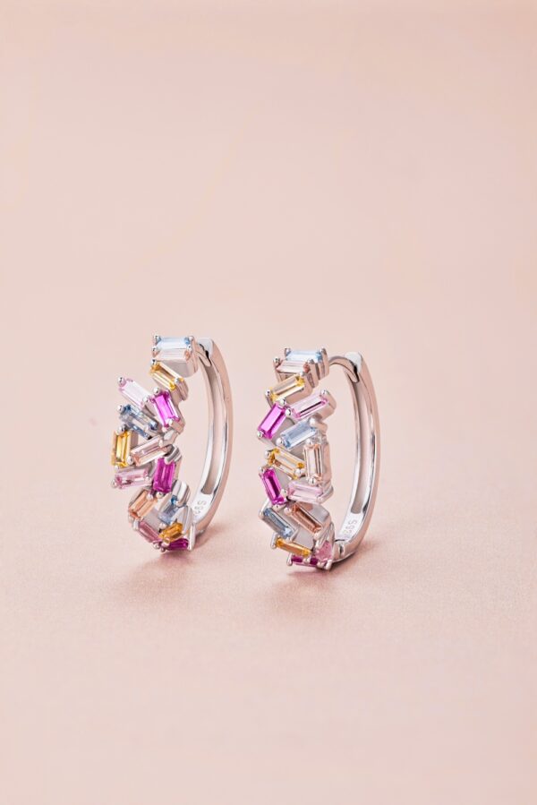 Multi Coloured Hoop Earrings